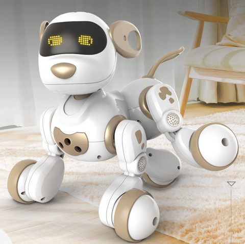 Intelligent Robot Dog