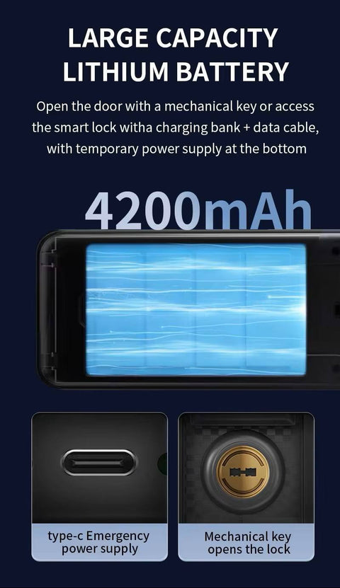 Biometric Smart Door Lock  - F102