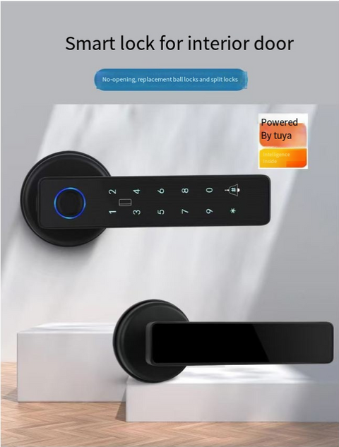 Biometric Smart Door Lock  - H003