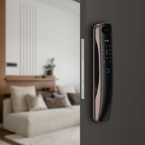 Biometric Smart Door Lock  - F035