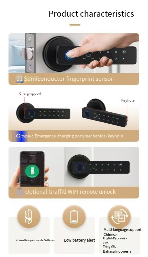 Biometric Smart Door Lock  - H003