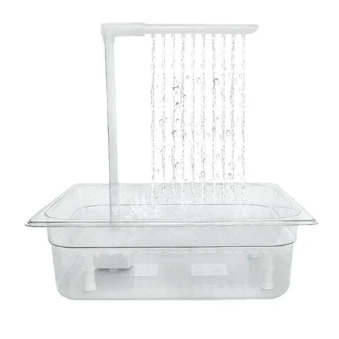 Bird Bathing Shower Box
