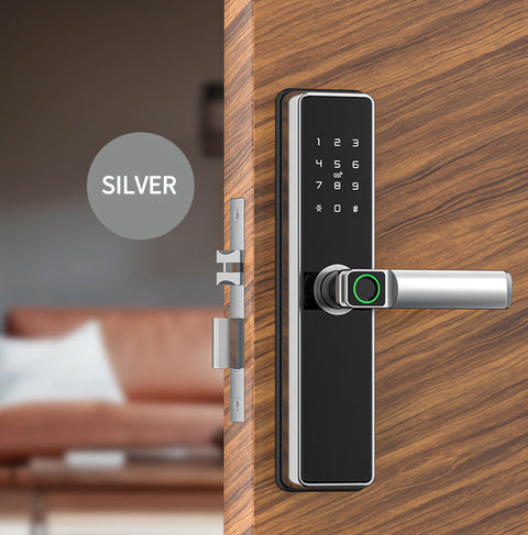 Biometric Smart Door Lock  - S008