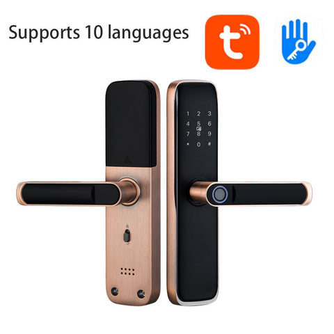 Biometric Smart Door Lock  - S020A