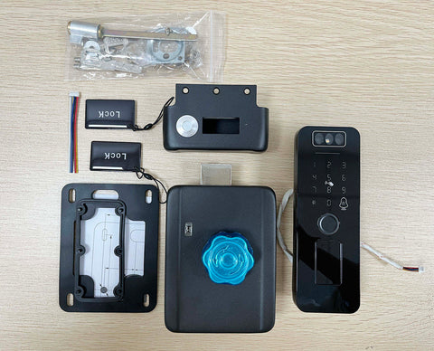 Biometric Smart Door Lock  - B006