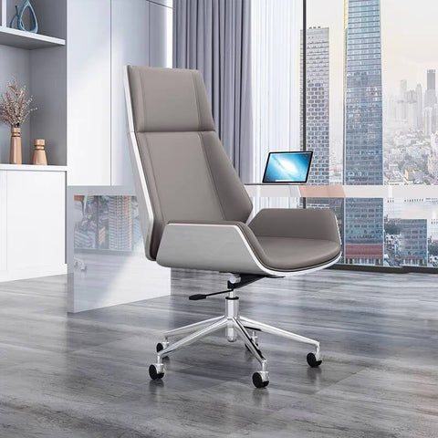 Ergonomic Silver Staff Office & Home Chair
