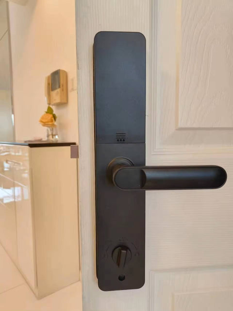 Biometric Smart Door Lock  - S036