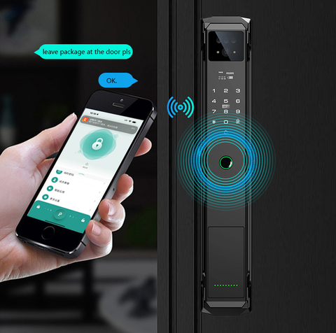 Biometric Smart Door Lock  - F029
