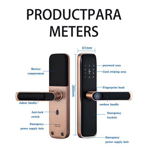 Biometric Smart Door Lock  - S020A