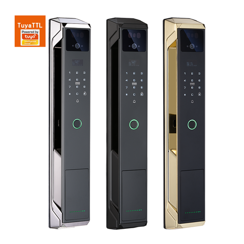 Biometric Smart Door Lock  - F029