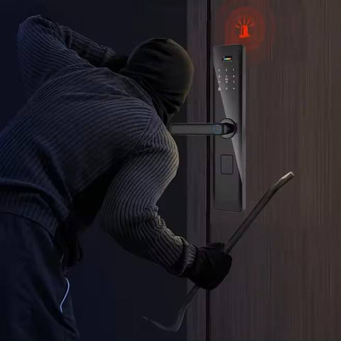 Biometric Smart Door Lock  - S003