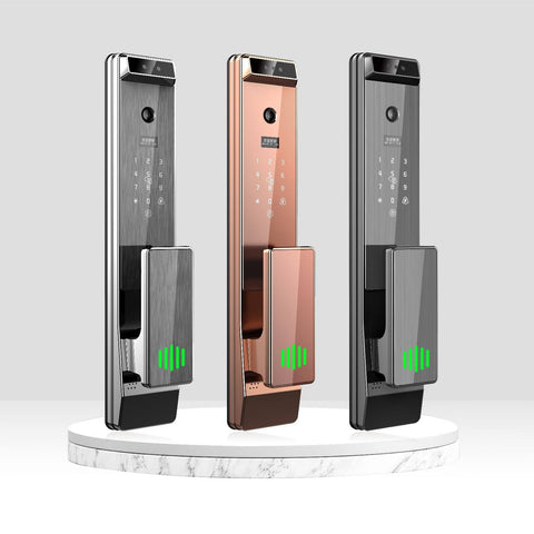 Biometric Smart Door Lock  - F032