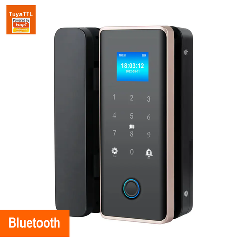 Biometric Smart Door Lock  - G010