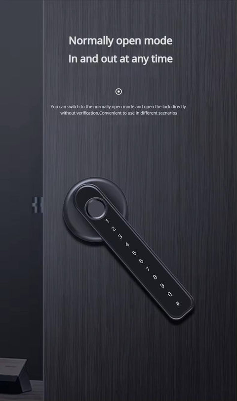 Biometric Smart Door Lock  - H001