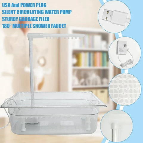 Bird Bathing Shower Box
