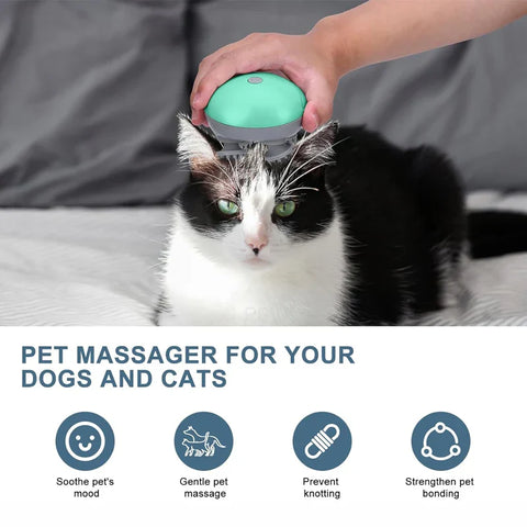 Electric Scalp Head Massager
