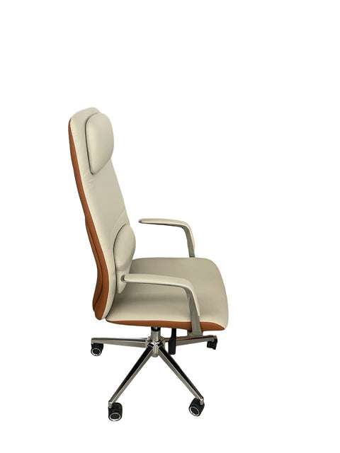Modern High-Back Executive Chair with Lumbar Support