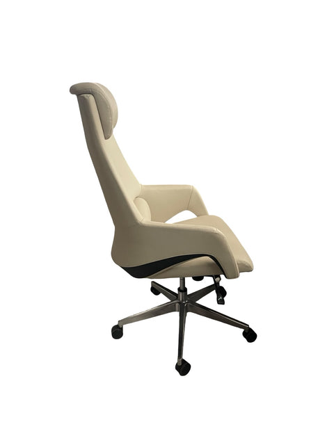 Ergonomic High-Back Executive Office Chair