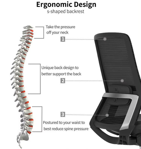 ErgoMesh Comfort Task Chair- Black