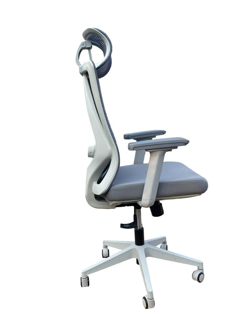 ErgoMesh ComfortPro Office Chair- Blue