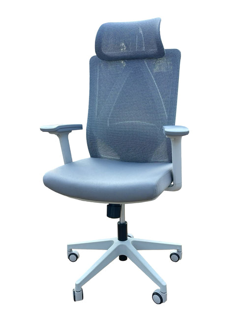 ErgoMesh ComfortPro Office Chair- Blue