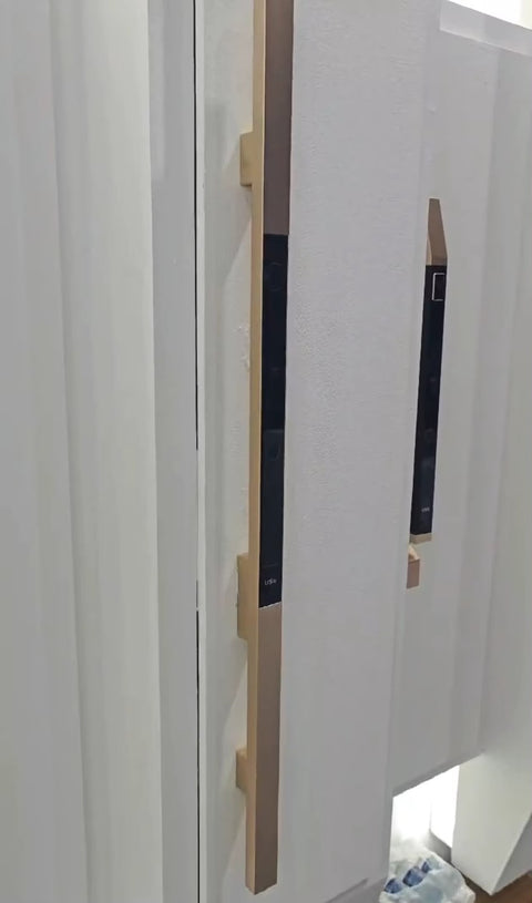 Smart Push-Pull Fingerprint Electronic Door Lock