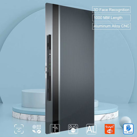 Smart Push-Pull Fingerprint Electronic Door Lock
